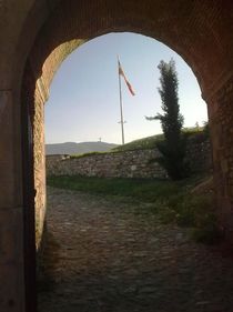 Entrance into the Fortress
