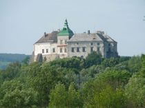 Castle in Olesko